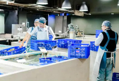 加拿大移民局认可的“鱼类和海产品加工工人”需要具备哪些条件?