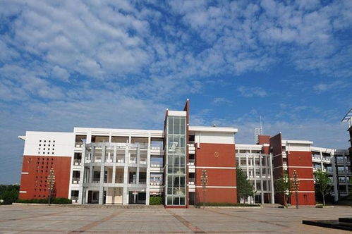 湖北高中领头羊 64人考入清北，领先黄冈中学42人