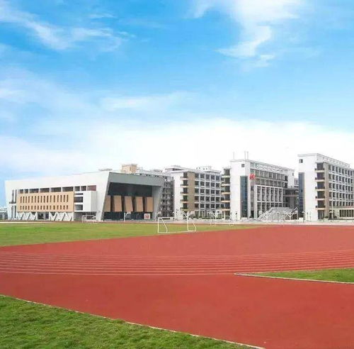 奔涌吧，后浪——华罗庚中学2020年春季复学典礼纪实