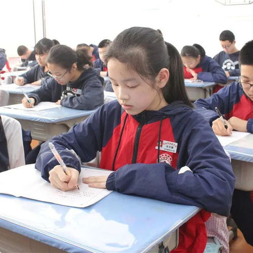 亚桥中学精品恒山校区学生美文赏评