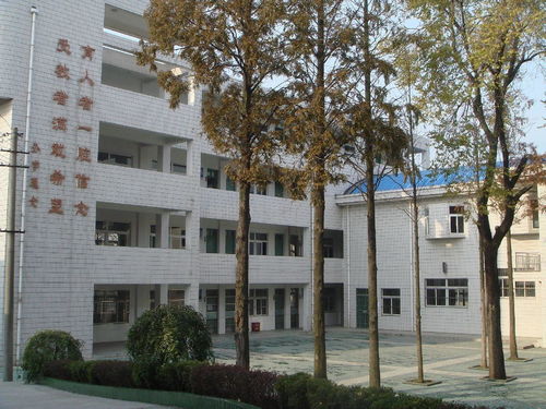 浦口河西中学 培养未来栋梁的摇篮