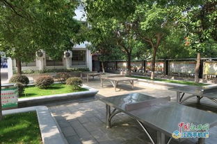 九江实验中学 团结协作奋战暑期，用心建设精品校园