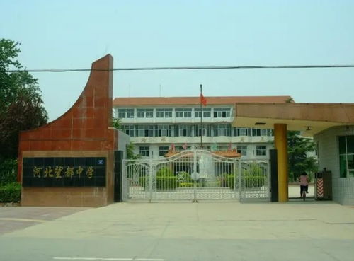 望都中学 以教育之光，照亮未来之路