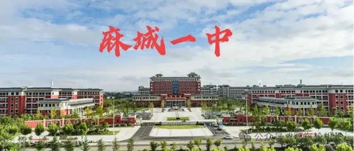 黄冈市高中实力排名 黄冈中学稳居榜首，谁是第二强校？