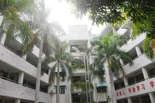 在林百欣中学遇见你 是我最怀念的青春